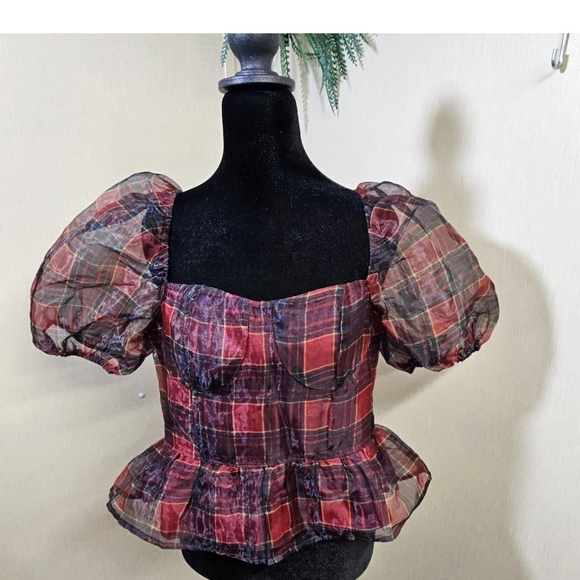 Audrey Parks Tops - Francesca’s Audrey Parks Plaid Puff Sleeve Sheer Crop Top Size Large